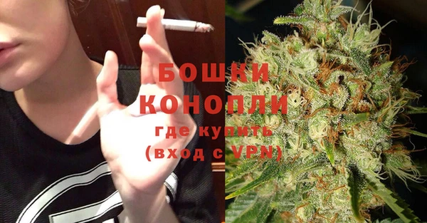 гидра Горно-Алтайск