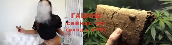 гидра Горно-Алтайск