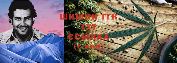 гидра Горно-Алтайск