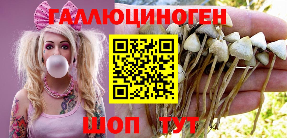 Галлюциногенные грибы мицелий  Галлюциногенные грибы GOLDEN TEACHER  Обь  Вход с VPN 